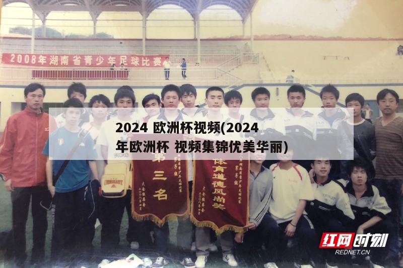 2024 欧洲杯视频(2024年欧洲杯 视频集锦优美华丽)