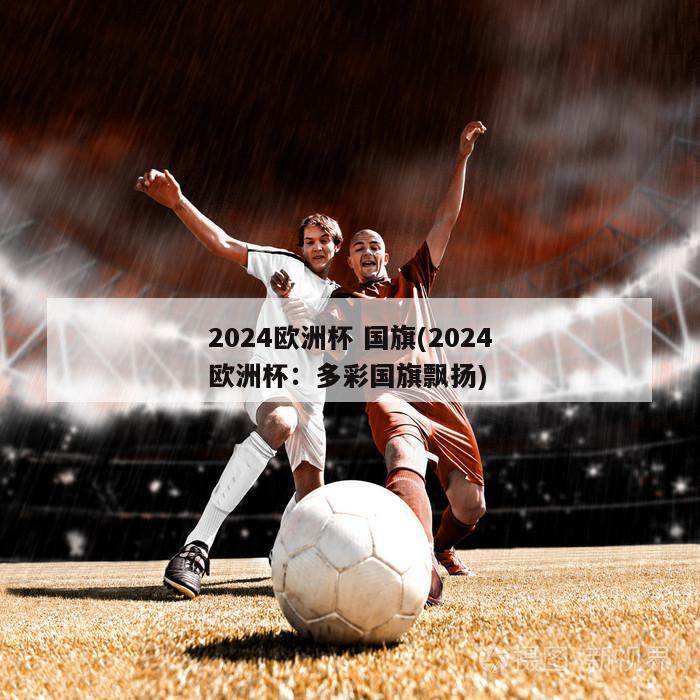 2024欧洲杯 国旗(2024欧洲杯：多彩国旗飘扬)