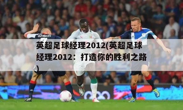 英超足球经理2012(英超足球经理2012：打造你的胜利之路)