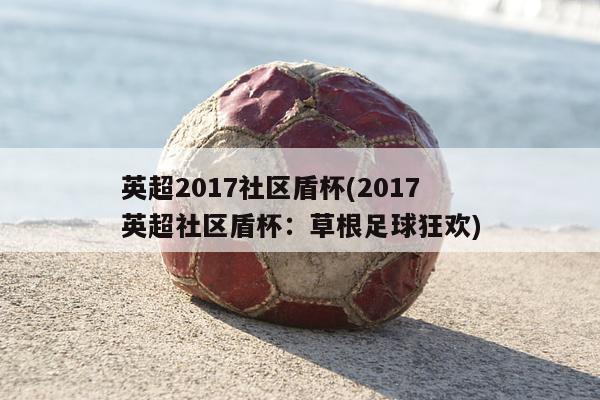 英超2017社区盾杯(2017英超社区盾杯：草根足球狂欢)